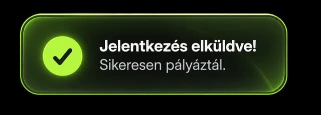 Jelentkezés elküldve — sikeresen pályáztál